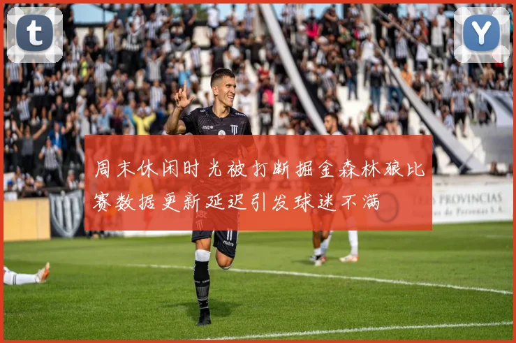 周末休闲时光被打断掘金森林狼比赛数据更新延迟引发球迷不满
