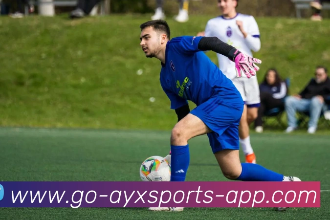 爱游戏体育APP 高清赛事图